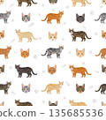 Domestic shorthair Cat clipart. All coat colors set 135685536