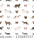 Domestic shorthair Cat clipart. All coat colors set 135685537