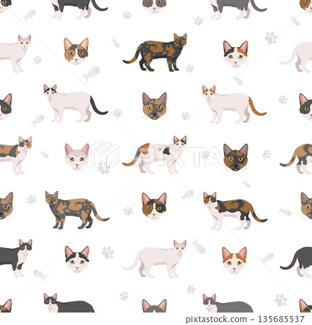 Domestic shorthair Cat clipart. All coat colors set Domestic shorthair Cat clipart. All coat colors set 135685537