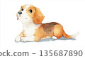 Cute dog watercolor illustration 135687890