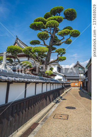 Scenery of Imaicho, Nara 135688029