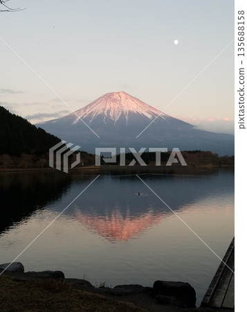 湖畔景色，月亮與富士山交相輝映，染成了紅色。 135688158