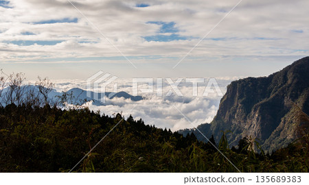 阿里山 雲海 135689383