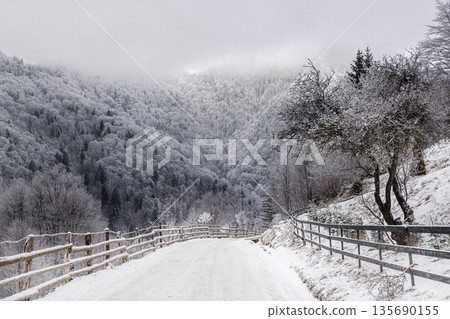 Snowy mountain road in winter forest, Carpathian Mountains, Romania 135690155