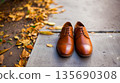 Pair of brown leather dress shoes placed neatly on city sidewalk with fallen autumn leaves around; leather shoes shine in daylight as leather shoes rest on pavement in seasonal concept 135690308