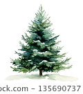 Snow-covered evergreen fir tree painted in watercolor style, isolated on transparent background, representing winter and holiday season concept 135690737