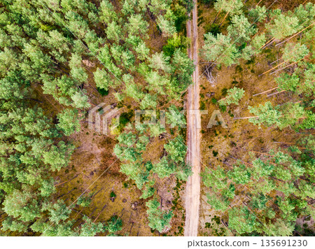 Tuchola forest in Poland. Aerial view Tuchola forest in Poland. Aerial view 135691230
