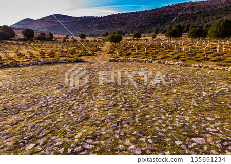 Sad Hill Cemetery in Spain. Tourist place 135691234