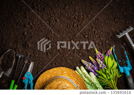 Garden tools and plants Garden tools and plants 135691618