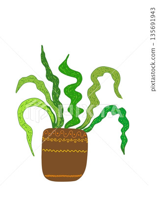 Illustration of flowerpots with houseplants in a minimalist style Illustration of flowerpots with houseplants in a minimalist style 135691943