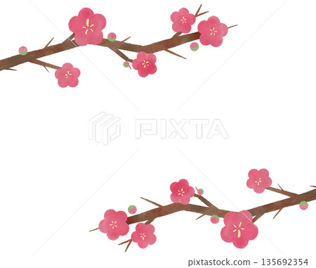 水彩畫梅花插圖 135692354