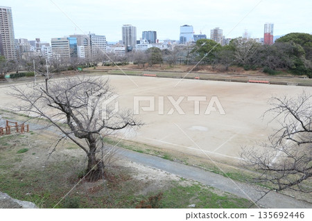 2024, Fukuoka, Fukuoka City, Landscape, Chuo Ward, Maizuru Park, Part 52 135692446
