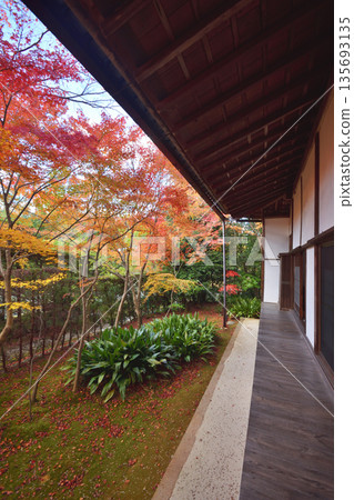 Autumn leaves of Konnoji Temple 135693135