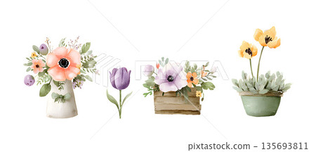 A watercolor floral arrangement featuring spring flowers in a pot, a tulip, and flowers in a wooden box. 135693811