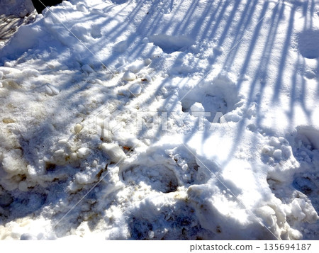 Snow Covers the Street as Shadows From a Fence Create Patterns in the Winter Sunlight Snow Covers the Street as Shadows From a Fence Create Patterns in the Winter Sunlight 135694187