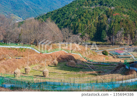 奈良縣飛鳥村稻淵梯田的冬季景色,這裡是日本百大名梯田之一。 奈良縣飛鳥村稻淵梯田的冬季景色,這裡是日本百大名梯田之一。 135694386