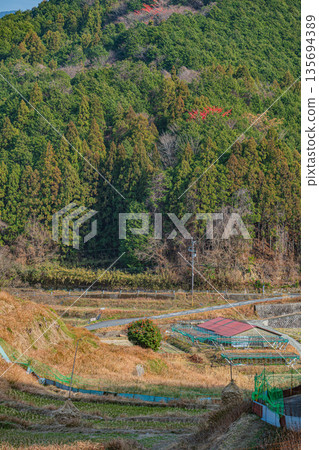 奈良縣飛鳥村稻淵梯田的冬季景色，這裡是日本百大名梯田之一。 135694389