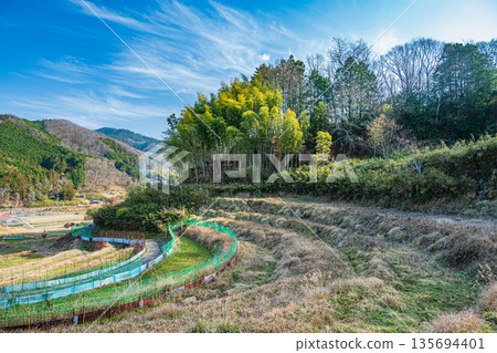 Winter scenery of the rice terraces in Inabuchi, Asuka Village, Nara Prefecture, one of Japan's 100 best rice terraces 135694401