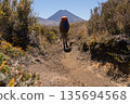 Hiker walking on narrow trail towards Mount Ngauruhoe volcano, New Zealand 135694568