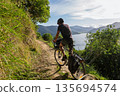Cyclist bikepacking coastal Queen Charlotte Track in Marlborough Sounds, NZ 135694574
