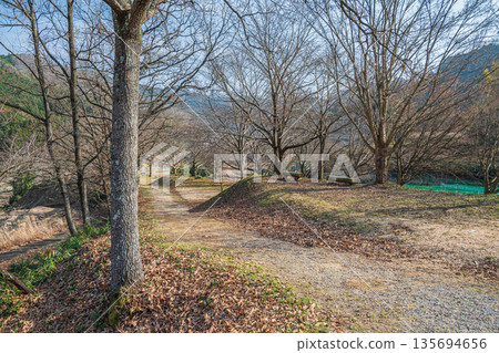 Observation deck at the Inabuchi Rice Terraces in Asuka Village, one of Japan's 100 best rice terraces, Nara Prefecture 135694656