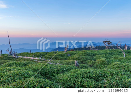 Dawn at Odaigahara: Dead trees and a fantastic mountain landscape with a morning glow Dawn at Odaigahara: Dead trees and a fantastic mountain landscape with a morning glow 135694685