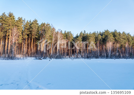 Snow-Covered Lake Shore with Ice, Pine Forest on Shore, Beautiful Winter Landscape with snow covered trees Snow-Covered Lake Shore with Ice, Pine Forest on Shore, Beautiful Winter Landscape with snow covered trees 135695109