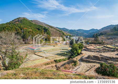 奈良縣飛鳥村稻淵梯田的冬季景色,這裡是日本百大名梯田之一。 奈良縣飛鳥村稻淵梯田的冬季景色,這裡是日本百大名梯田之一。 135695536