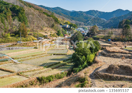 奈良縣飛鳥村稻淵梯田的冬季景色,這裡是日本百大名梯田之一。 奈良縣飛鳥村稻淵梯田的冬季景色,這裡是日本百大名梯田之一。 135695537