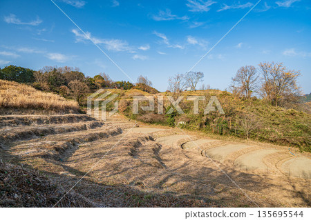 Winter scenery of the rice terraces in Inabuchi, Asuka Village, Nara Prefecture, one of Japan's 100 best rice terraces 135695544