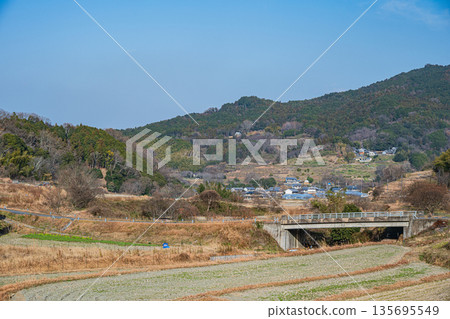 奈良縣飛鳥村稻淵梯田的冬季景色，這裡是日本百大名梯田之一。 135695549