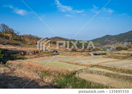 Winter scenery of the rice terraces in Inabuchi, Asuka Village, Nara Prefecture, one of Japan's 100 best rice terraces 135695550