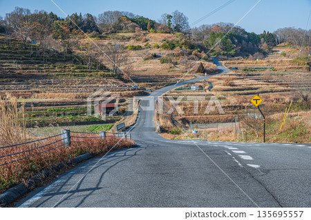 Winter scenery of the rice terraces in Inabuchi, Asuka Village, Nara Prefecture, one of Japan's 100 best rice terraces 135695557