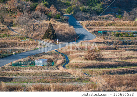 奈良縣飛鳥村稻淵梯田的冬季景色,這裡是日本百大名梯田之一。 奈良縣飛鳥村稻淵梯田的冬季景色,這裡是日本百大名梯田之一。 135695558
