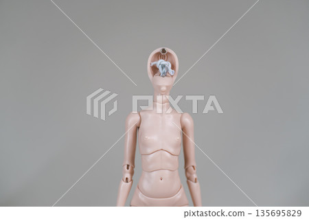 Ball jointed doll body with open head showing Ball jointed doll body with open head showing 135695829