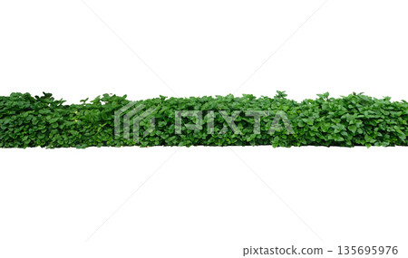 Green tree wall fence with concrete planter Green tree wall fence with concrete planter 135695976