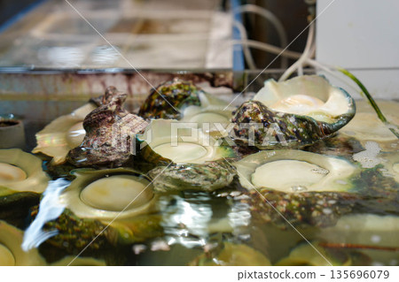 牧誌公共市場的貝類 135696079
