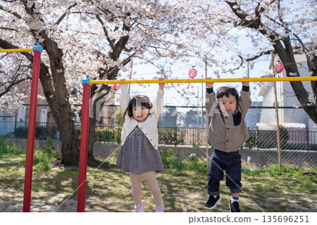 櫻花樹下,孩子們懸掛在橫桿上 櫻花樹下,孩子們懸掛在橫桿上 135696251