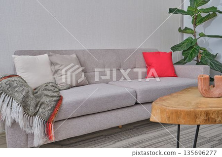 Living room with grey sofa, pillows, coffee table 135696277