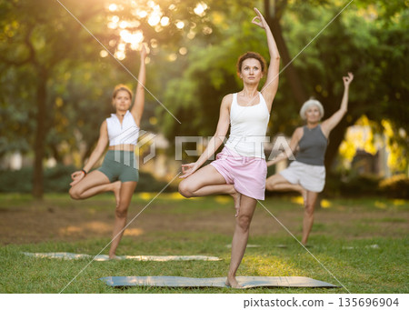 Woman performing Tree Pose during group yoga session in park 135696904