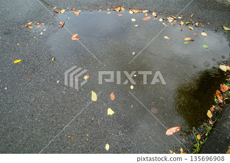 puddle, pool of water, waterhole 135696908