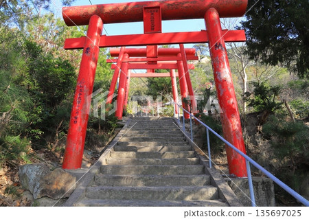 A hidden gem of Inari shrine with a view of the Seto Inland Sea 135697025