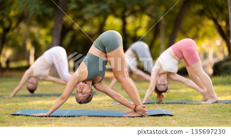 Athletic girls meditates in yoga pose parshvottanasana in summer sunny park. Demonstration of various yoga poses Athletic girls meditates in yoga pose parshvottanasana in summer sunny park. Demonstration of various yoga poses 135697230