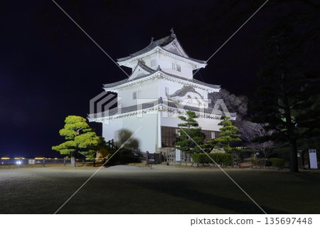 夜幕下的丸龜城主天守閣(香川縣丸龜市) 夜幕下的丸龜城主天守閣(香川縣丸龜市) 135697448
