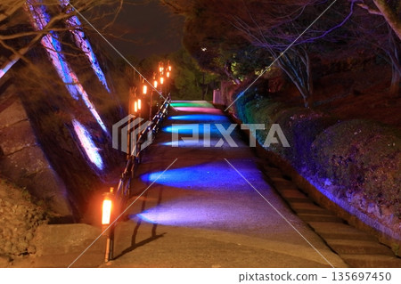 Illuminations on the steep slope of Mikaeri-zaka at Marugame Castle (Marugame City, Kagawa Prefecture) 135697450