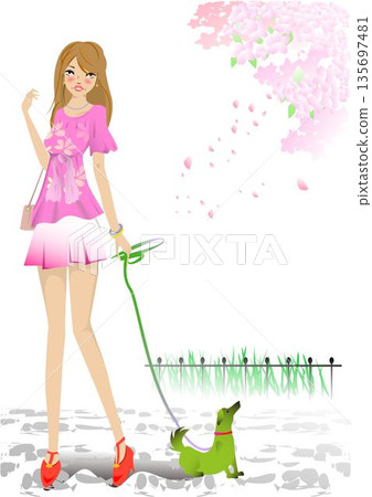 A girl walking with her pet and cherry blossoms A girl walking with her pet and cherry blossoms 135697481