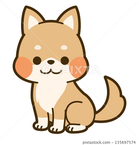 可愛的柴犬的插圖 135697574