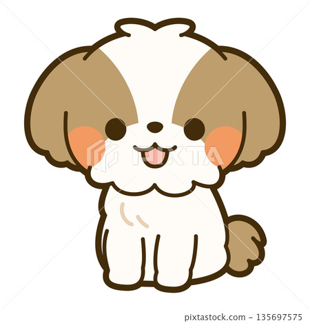 可愛的西施犬的插圖 135697575