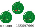 A watermelon 135697660