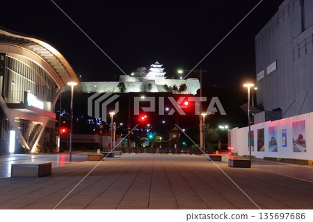從丸龜馬耳他市政廳看到的丸龜城夜景（香川縣丸龜市） 135697686
